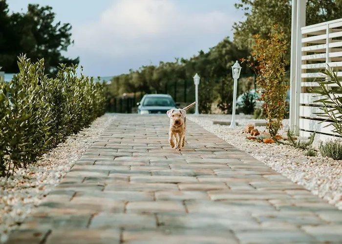 Bluebay Croatia Mobile Homes 假日公园